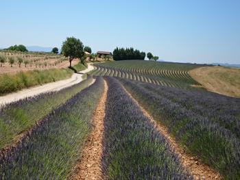 moto luberon
